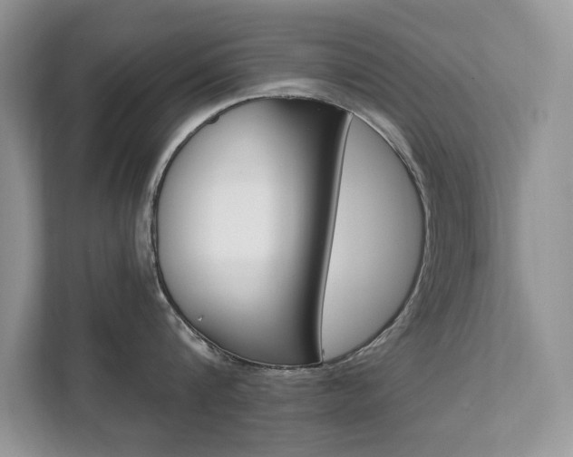 X0000112200816200908071242