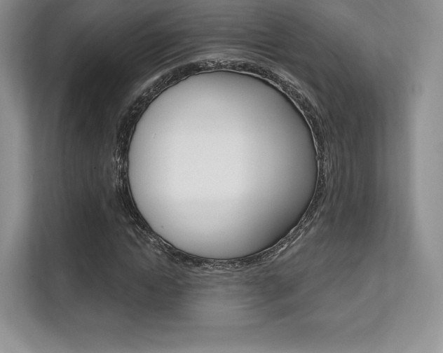 X0000112200822200908071241