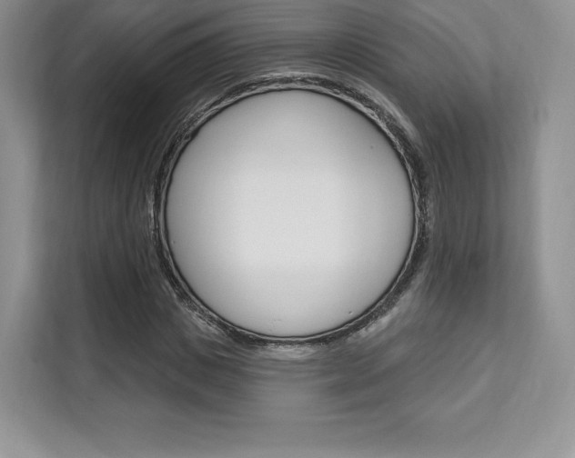 X0000112200825200908071241