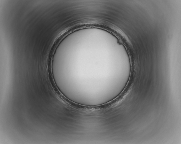 X0000112200826200908071241