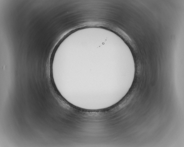 X0000112200836200908071241