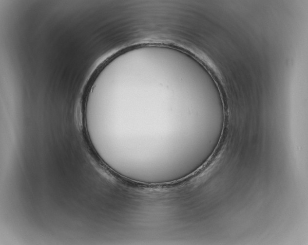 X0000112200838200908071241