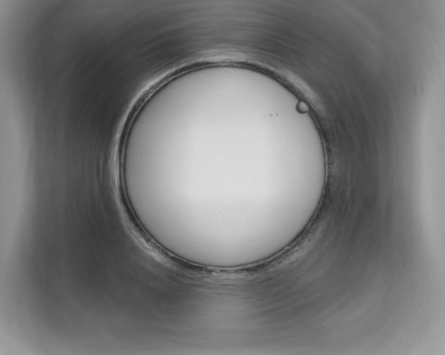 X0000112200840200908071241