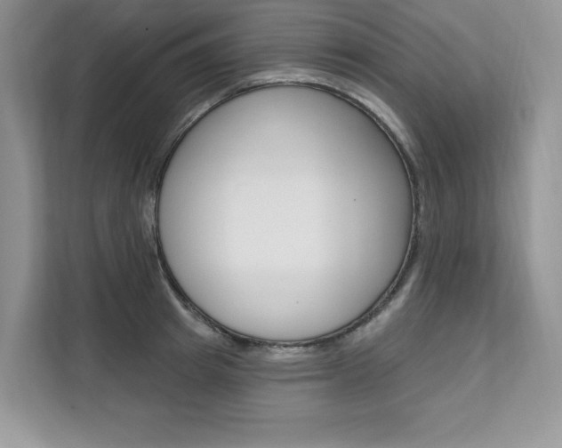 X0000112200849200908071241