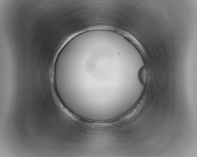 X0000112200860200908071241