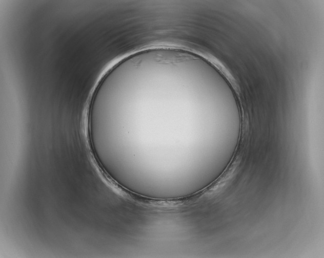 X0000112200862200908071241