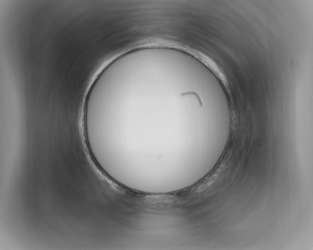 X0000112200863200908071241