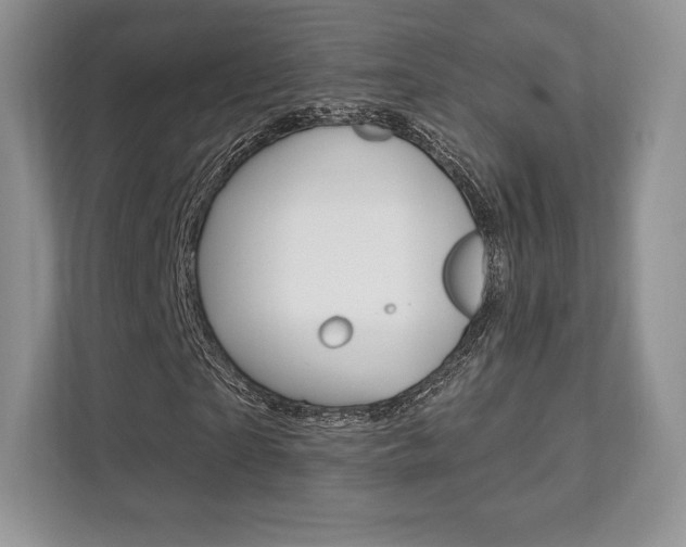 X0000112200865200908071241