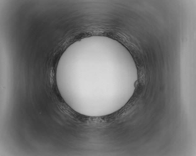 X0000112200866200908071241