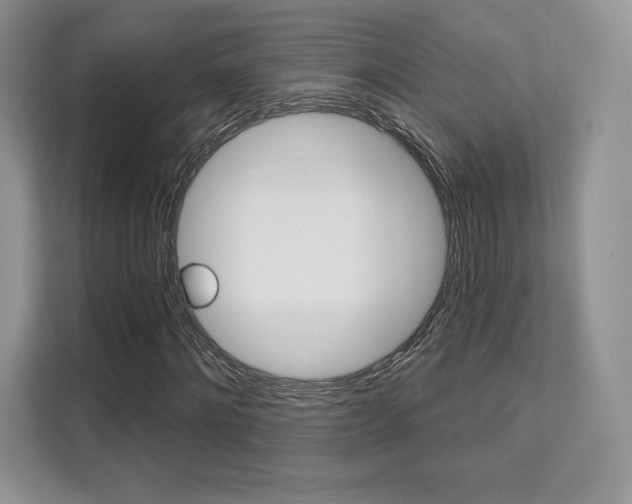 X0000112200868200908071241
