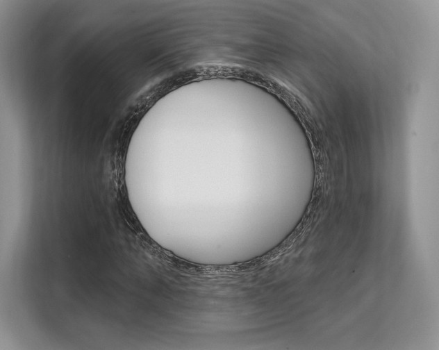X0000112200870200908071241