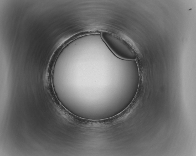 X0000112200876200908071241