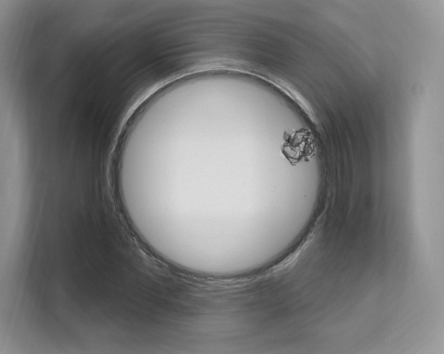 X0000112200877200908071241