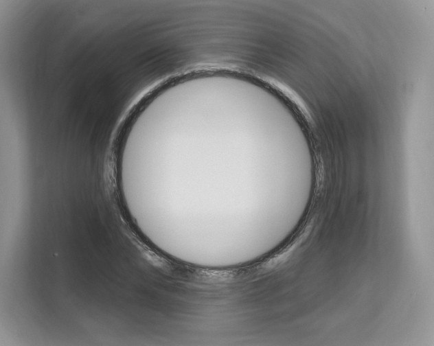 X0000112200878200908071241