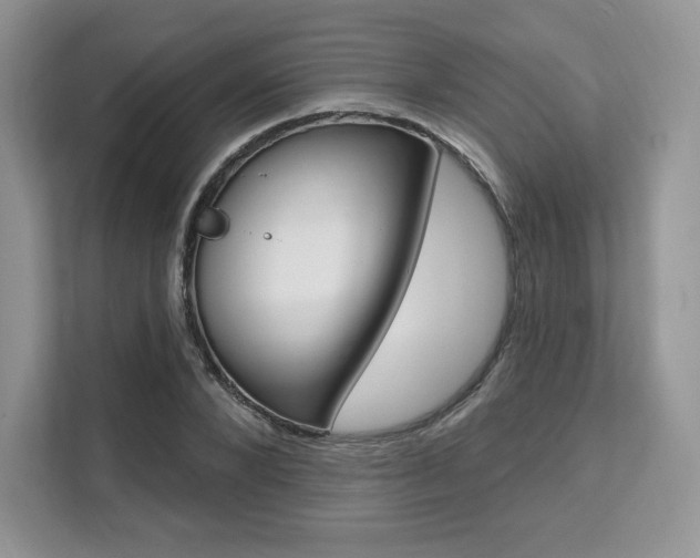 X0000112200880200908071241