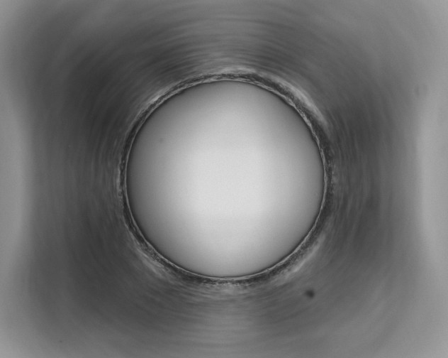X0000112200881200908071241