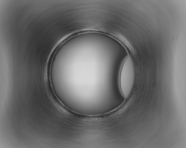 X0000112200884200908071241