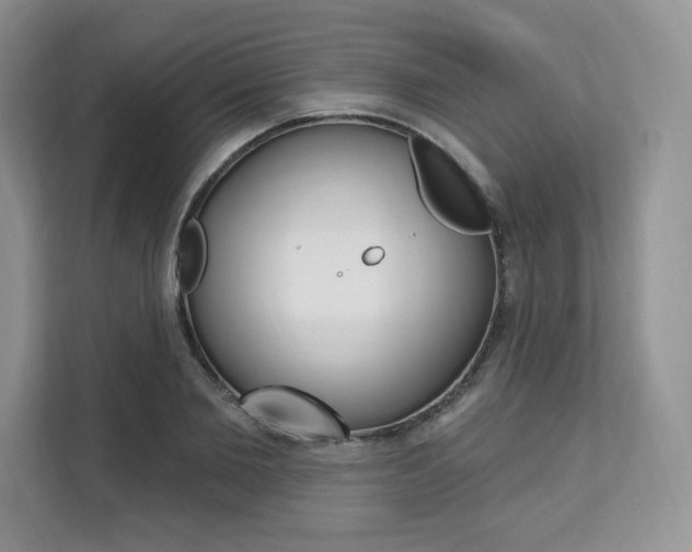 X0000112200885200908071241