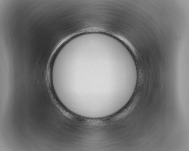 X0000112200886200908071241