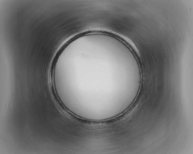 X0000112200887200908071241