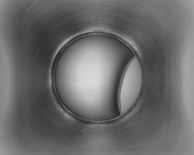 X0000112200888200908071241