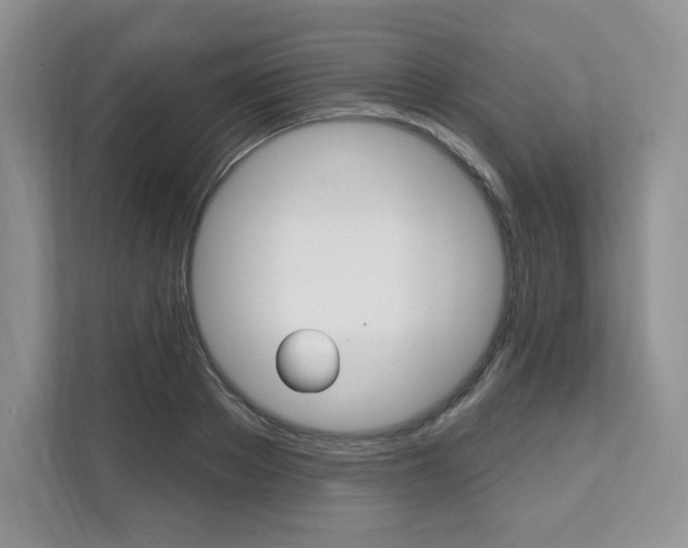 X0000112200889200908071241