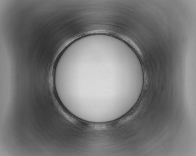 X0000112200890200908071241