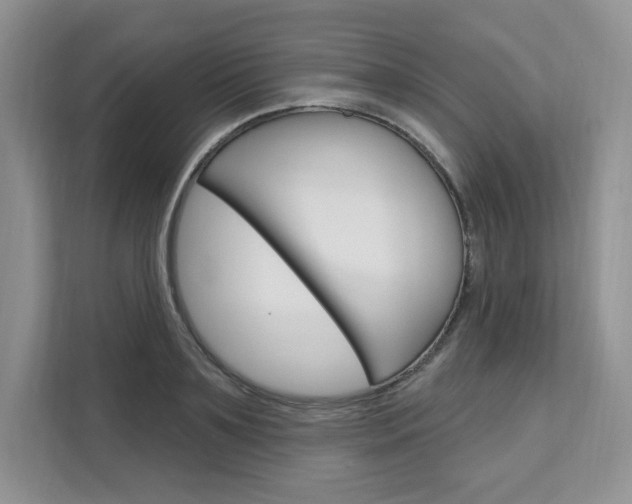 X0000112200891200908071241
