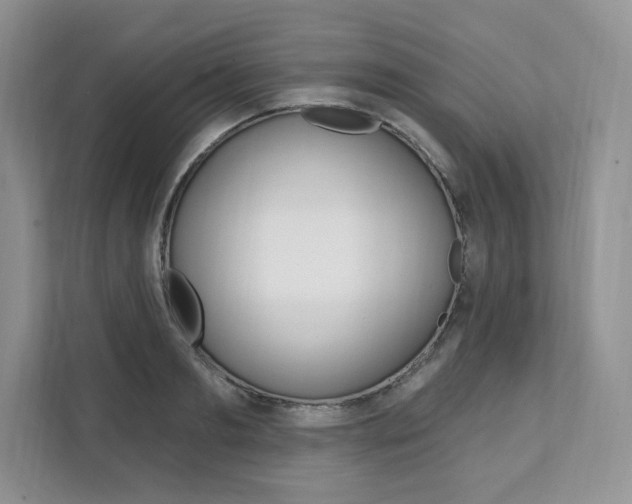 X0000112200893200908071241