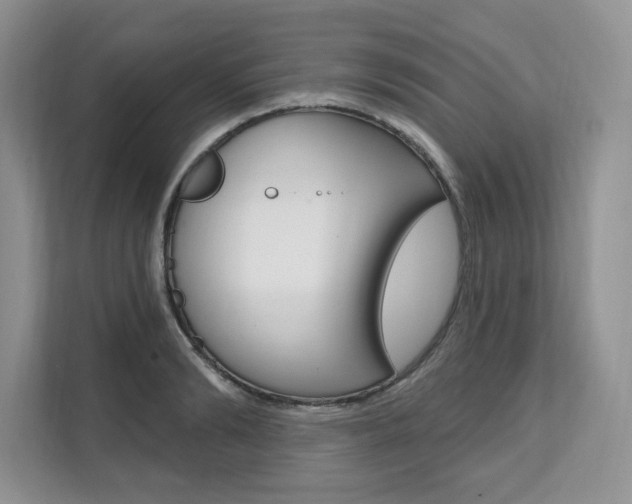 X0000112200894200908071240