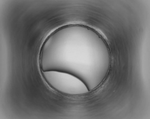 X0000112200895200908071240