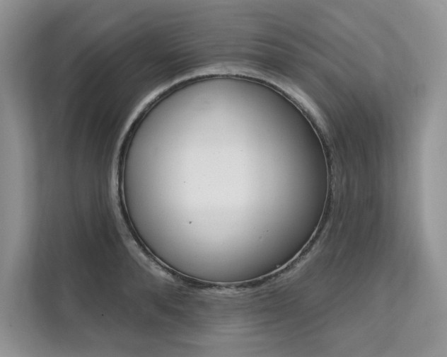 X0000112200896200908071240
