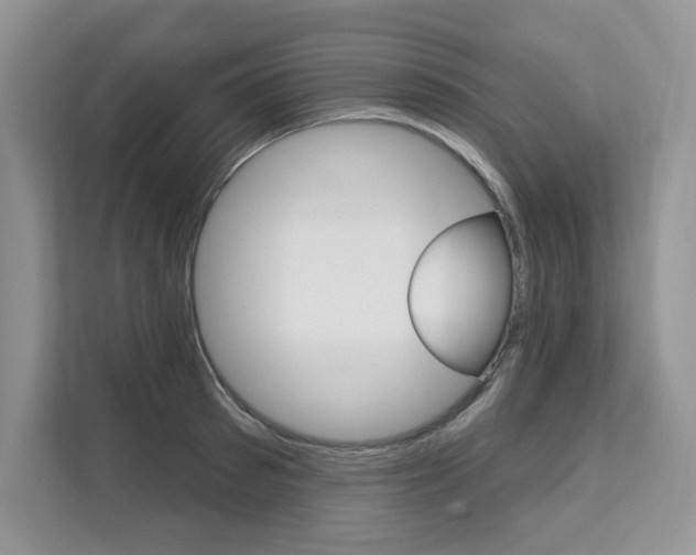 X0000112200897200908071240