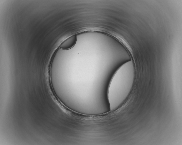 X0000112200898200908071240