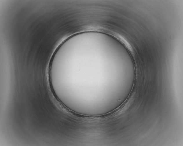 X0000112200899200908071240
