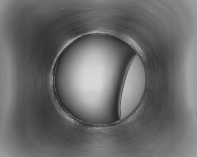 X0000112200900200908071240