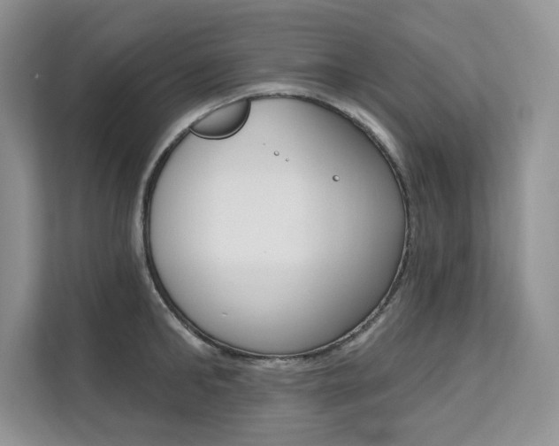 X0000112200902200908071240