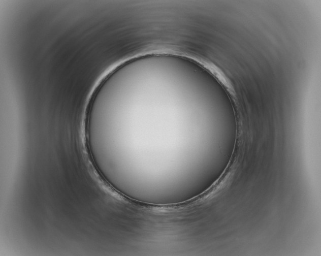 X0000112200904200908071240