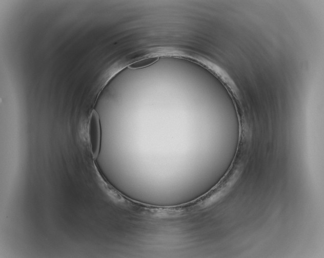 X0000112200905200908071240