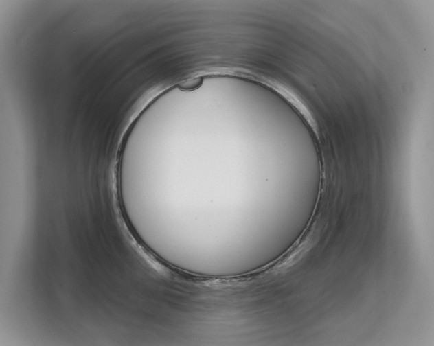 X0000112200906200908071240