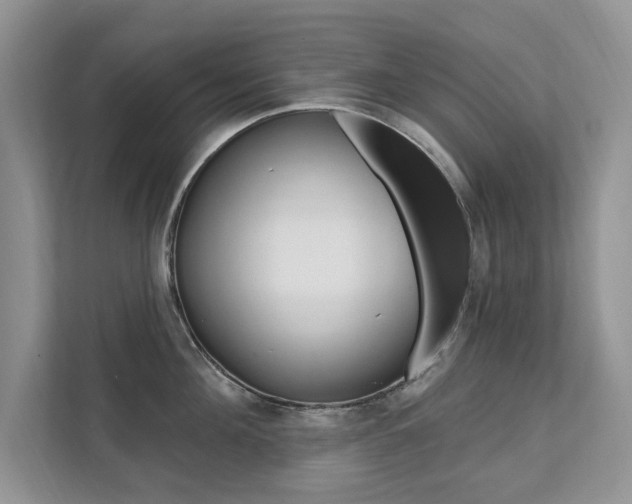 X0000112200908200908071240