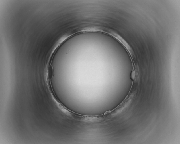 X0000112200909200908071240
