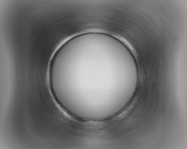 X0000112200910200908071240