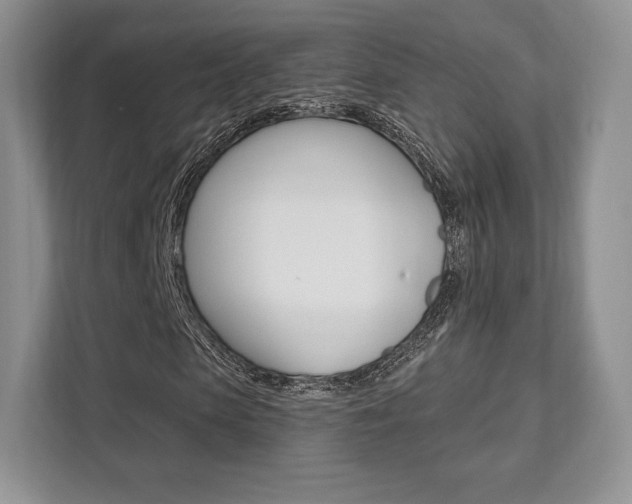 X0000112200913200908071240