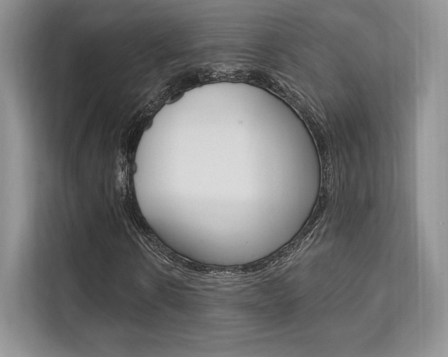 X0000112200914200908071240