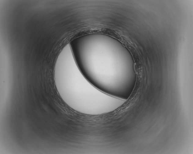 X0000112200916200908071240