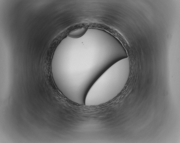 X0000112200919200908071240