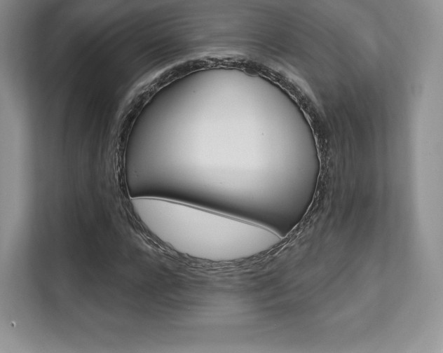 X0000112200920200908071240