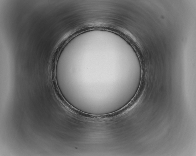 X0000112200922200908071240