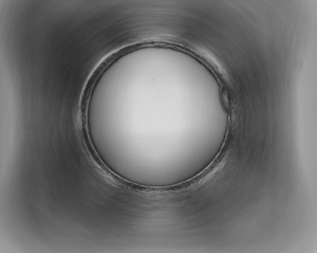 X0000112200924200908071240